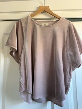 Madewell Plush Velvet Short Sleeve Women's Top in Dusty Rose Pink Size Large